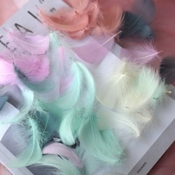 Colorful feather, 100pcs